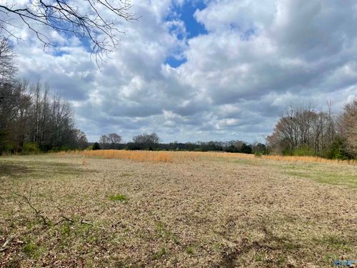 77 acres County Rd, Town Creek, AL, 35672 | Card Image