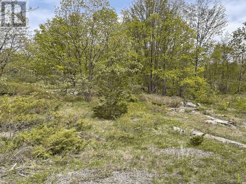 Pt Lt 12 Con 7 Kaladar, Addington Highlands (Addington Highlands), ON, K0K1Z0 | Card Image