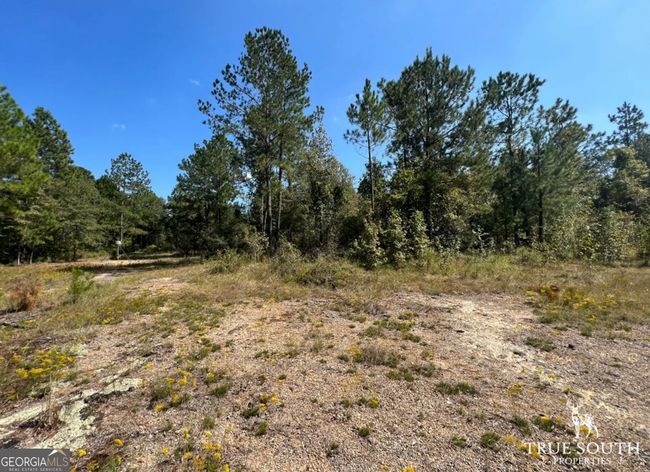 0 John S Horton Rd, Home with 0 bedrooms, 0 bathrooms and null parking in Adrian GA | Image 7