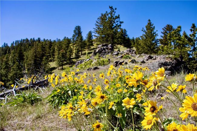 0 Novak Creek Ln, Home with 0 bedrooms, 0 bathrooms and null parking in Cascade MT | Image 6