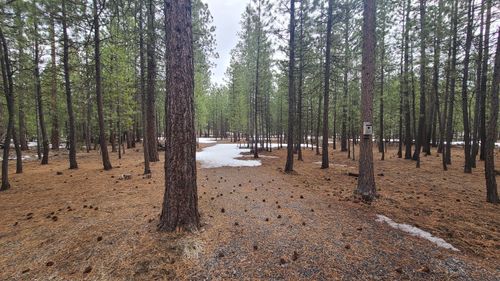 52328 Elderberry Ct, La Pine, OR, 97739-9452 | Card Image