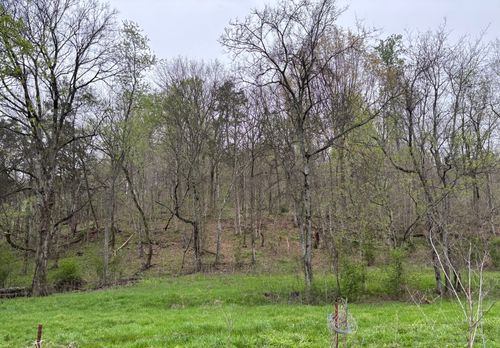 0 Cathcart Rd, Frankewing, TN, 38459 | Card Image