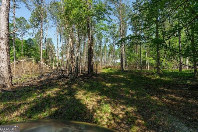 6053 Sun Hill Grange Rd, Home with 0 bedrooms, 0 bathrooms and null parking in Davisboro GA | Image 82