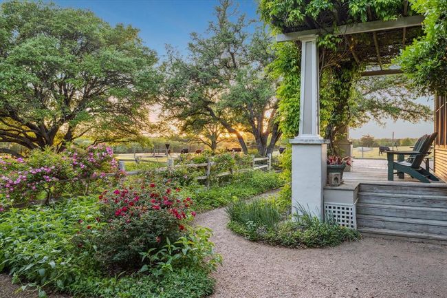 Sunset view of the rose garden and live oaks. | Image 49