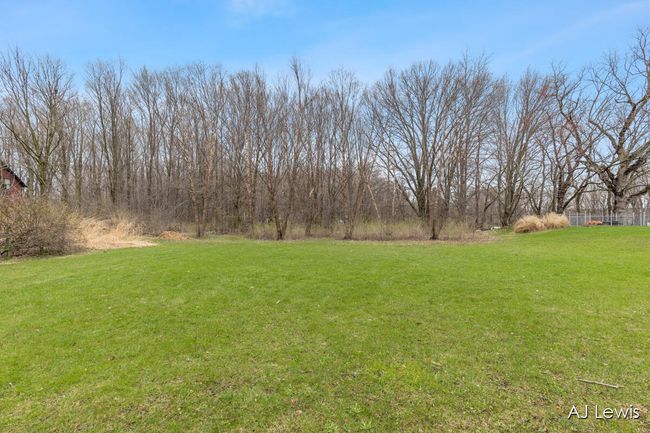 Partially wooded back yard | Image 23