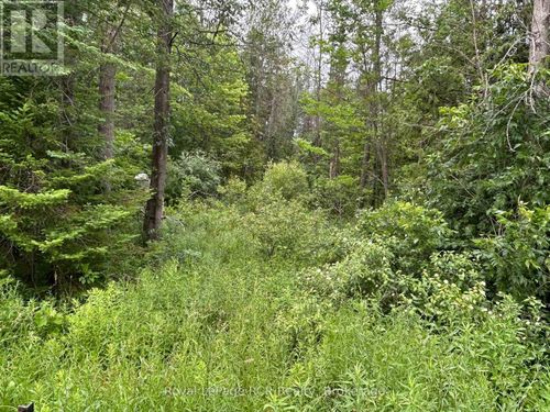 part Lot 2 Conc 17 Road, Georgian Bluffs, ON, N0H2T0 | Card Image