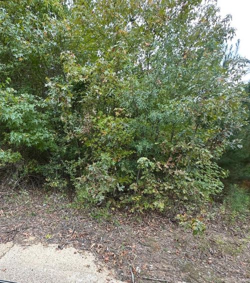 354 Harrison Ave Nw, Camden, AR, 71701-3474 | Card Image