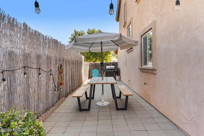 31_249 colt ln-31 | Image 49