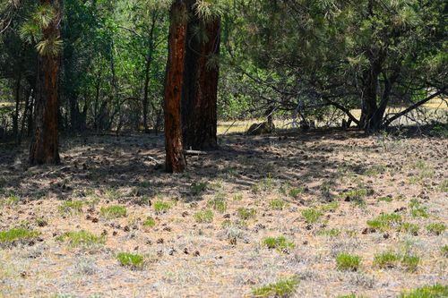 4-4 The Forks Rd Rd, Chama, NM, 87520 | Card Image