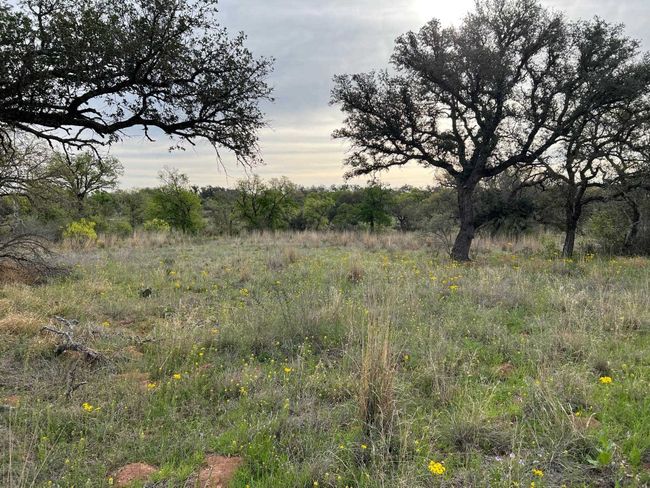12041 W Ranch Road 152, House other with 5 bedrooms, 3 bathrooms and null parking in Llano TX | Image 8
