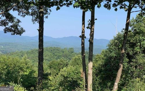 LOT 7 Golden Oak Estates, Warne, NC, 28909 | Card Image