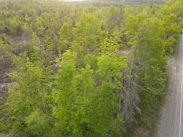 Land in Sebec 4