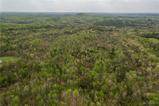 Drone / aerial view with a view of trees | Image 20