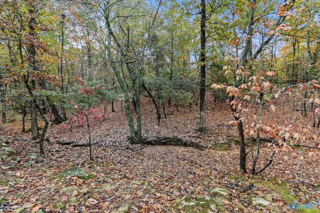 195 Laurel Ln, House other with 3 bedrooms, 2 bathrooms and null parking in Gurley AL | Image 44