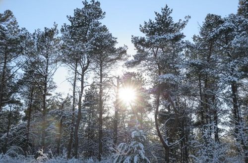 25 Hollowbrook Trl, Kingsley, MI, 49649 | Card Image