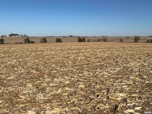 00 230th St, Walcott, IA, 52773 | Card Image