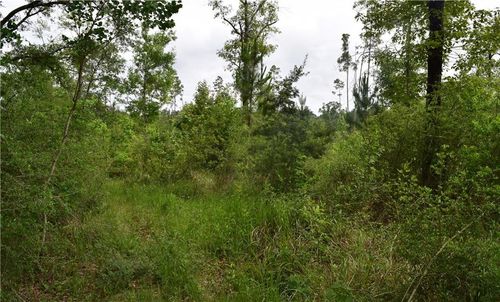 0 Mcgregor Rd, Grand Bay, AL, 36541 | Card Image