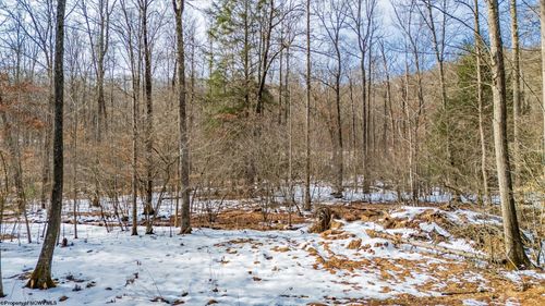 Lots 56&amp;57 Whitewater Parkway, Bruceton Mills, WV, 26525 | Card Image