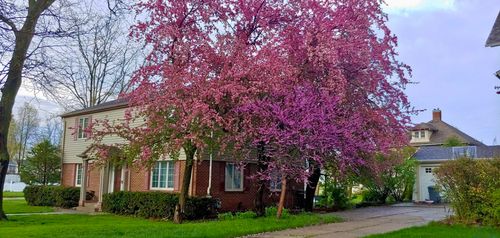 227 Lake Ave, Storm Lake, IA, 50588-2432 | Card Image