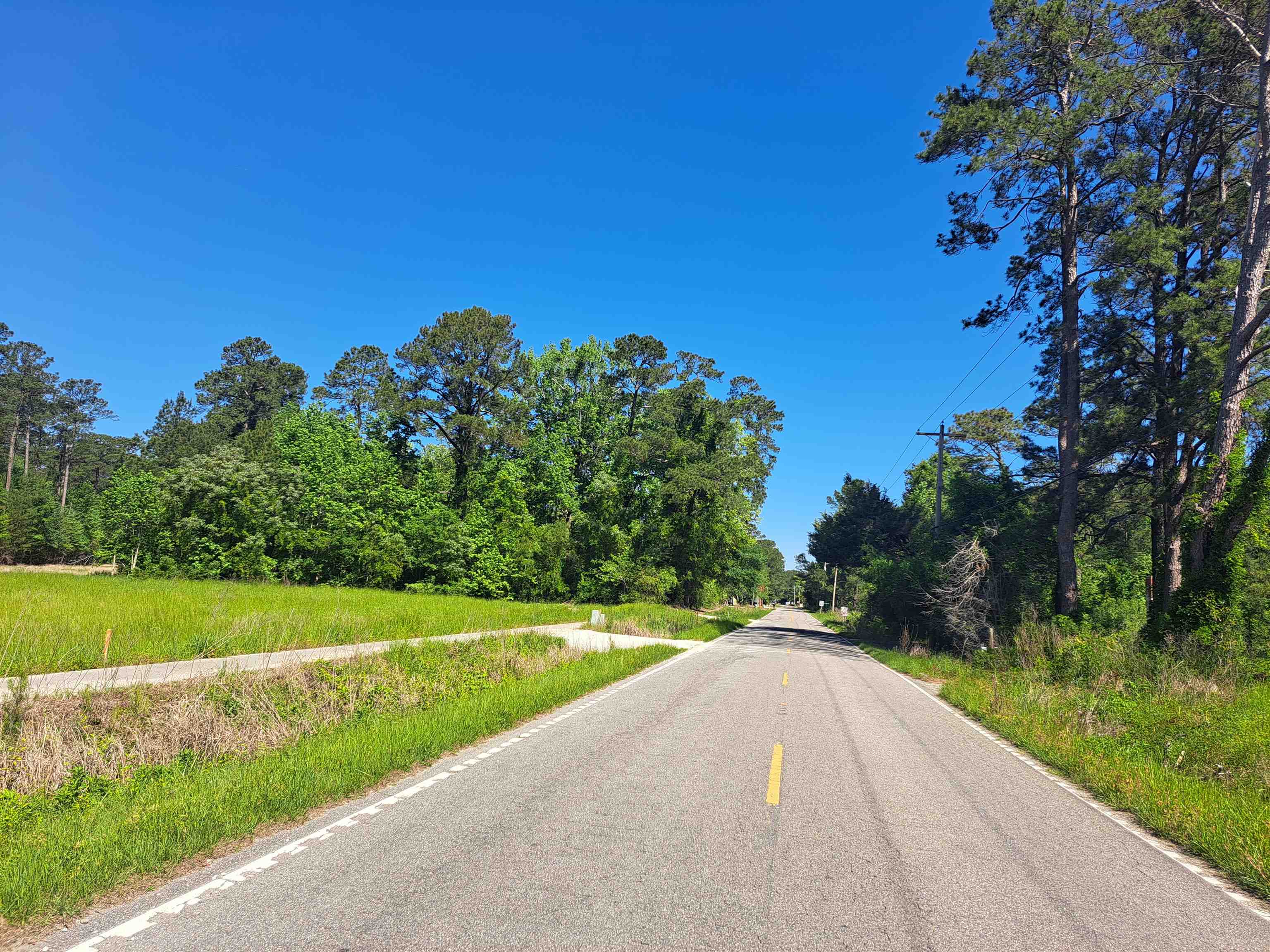 Land in Conway 2