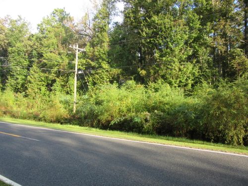 Near 1671 Old Wilmington Road, Whiteville, NC, 28472 | Card Image