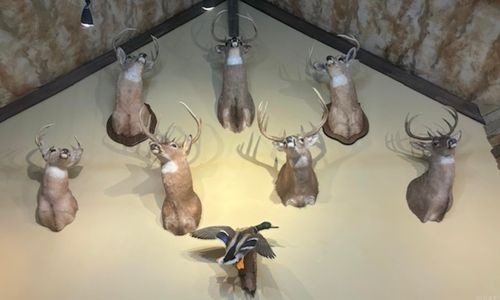 201 Morgan Loop Rd, DeWitt, AR, 72042 | Card Image