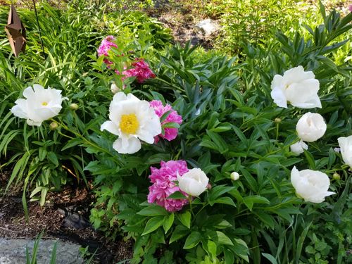 1452 Tyson Rd, Reading, VT, 05062-9745 | Card Image