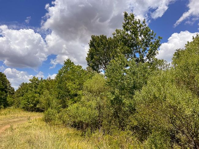 1 Avenue C, Home with 0 bedrooms, 0 bathrooms and null parking in Batson TX | Image 11