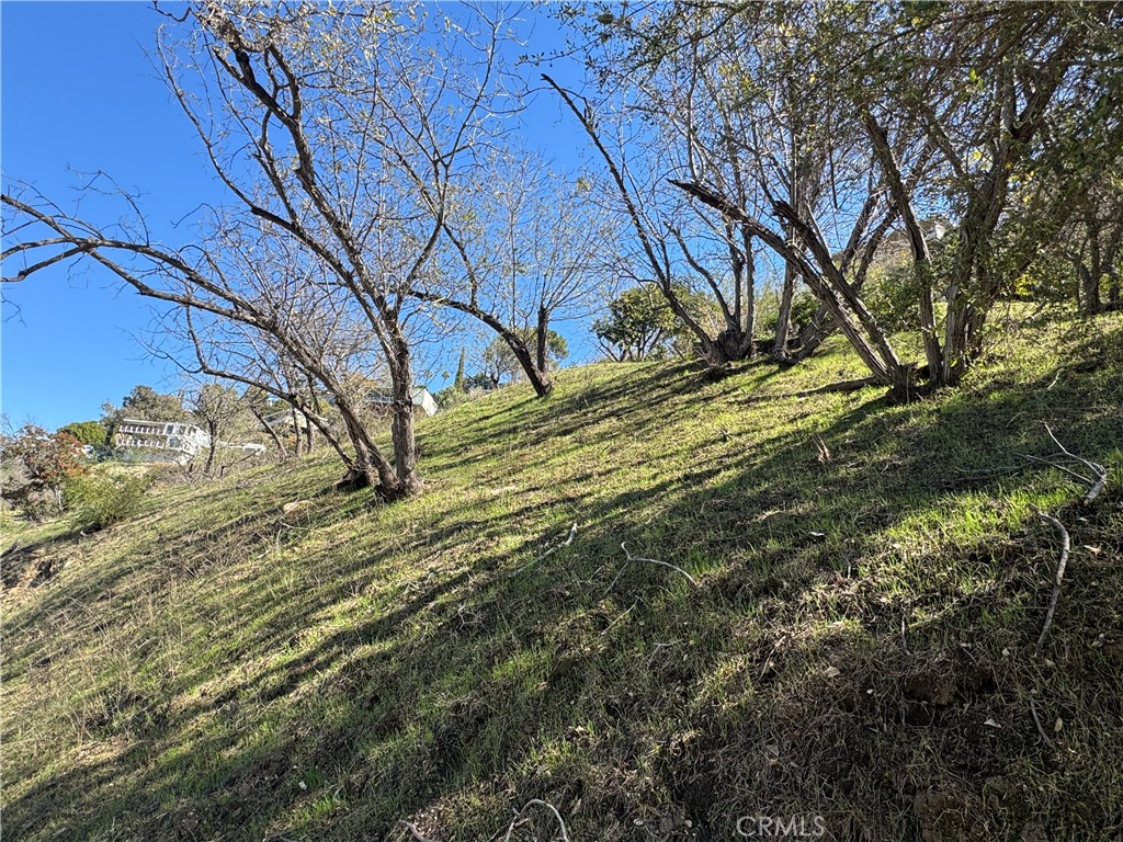 Land in Sherman Oaks 2