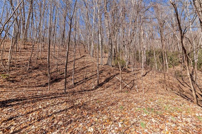 965 Wolf Pen Rd, Home with 0 bedrooms, 0 bathrooms and null parking in Old Fort NC | Image 6