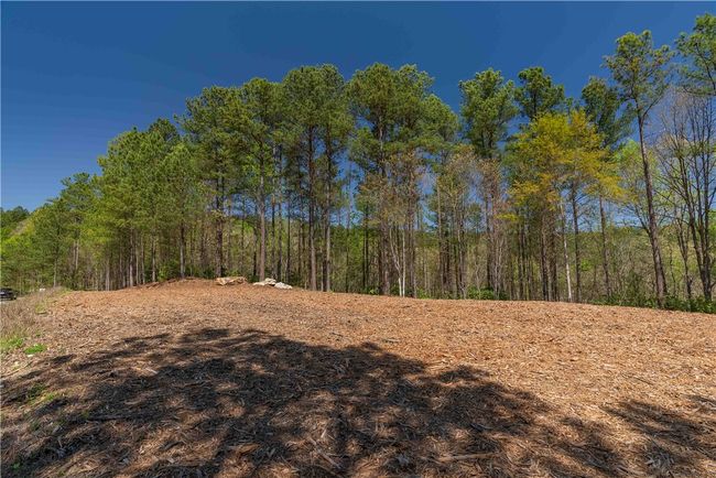 6 Canebrake Dr, Home with 0 bedrooms, 0 bathrooms and null parking in Salem SC | Image 5