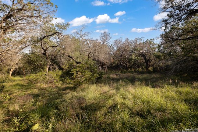 1060 Forest View Dr, House other with 1 bedrooms, 1 bathrooms and null parking in Blanco TX | Image 17