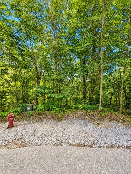 0 Woodcrest Dr, Smithville, TN, 37166 | Card Image
