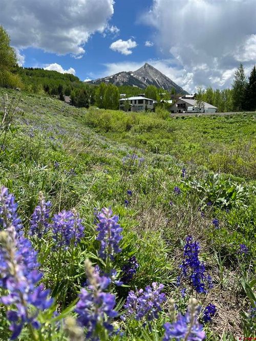 379 S Avion Dr, Crested Butte, CO, 81224-5632 | Card Image