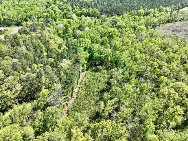 0 Ga Highway 87, Home with 0 bedrooms, 0 bathrooms and null parking in Juliette GA | Image 11