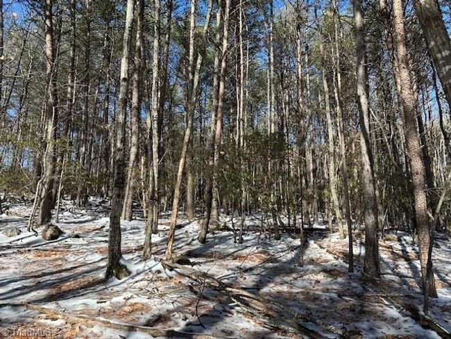 0 Old Railroad Grade Rd, Home with 0 bedrooms, 0 bathrooms and null parking in Thurmond NC | Image 10