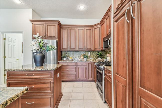 10203 Shadow Branch Dr, House other with 4 bedrooms, 3 bathrooms and null parking in TAMPA FL | Image 21