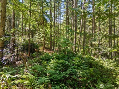 0 SP1354 E Glenwood Dr, Union, WA, 98592 | Card Image