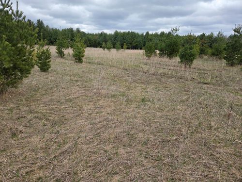 TBD 450th St - Parcel B, Laporte, MN, 56461 | Card Image