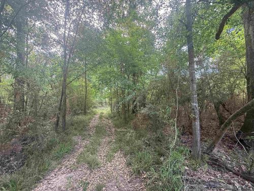 LOT-138 Amite River Rd, Baton Rouge, LA, 70817 | Card Image