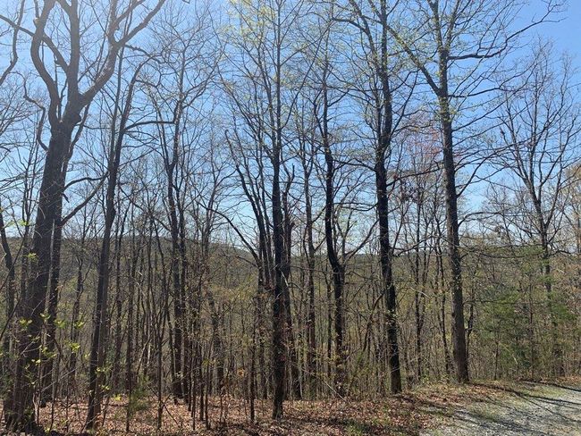 91 - 43 Old Burnt Mountain Rd, Home with 0 bedrooms, 0 bathrooms and null parking in Ellijay GA | Image 26