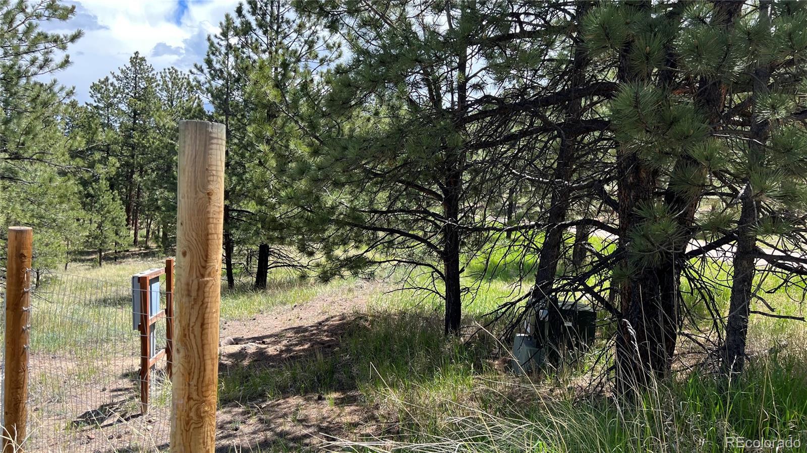 Land in Westcliffe 3