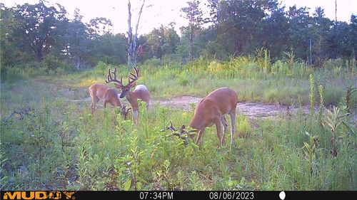 000 Highway 41, Cecil, AR, 72930 | Card Image