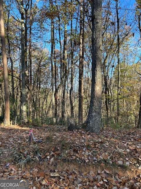 Land in Dawsonville 5