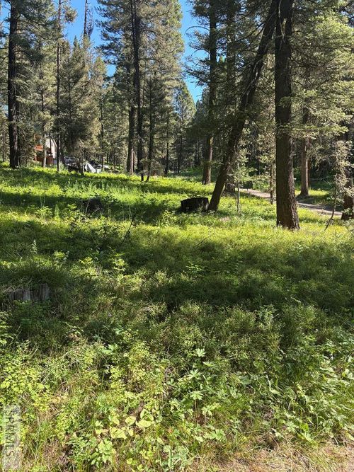 4121 Spruce Cir, Island Park, ID, 83429-1212 | Card Image