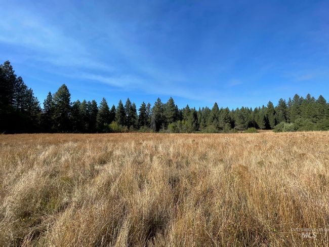 181 Harris Ridge Loop, House other with 3 bedrooms, 3 bathrooms and 2 parking in Kooskia ID | Image 11