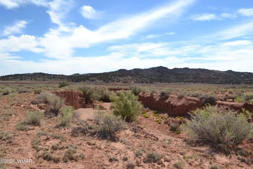 Lots 18, 19 N8577 Road, Concho, AZ, 85924 | Card Image