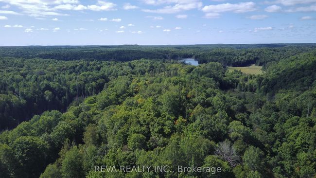 1173 Fortesque Lake Rd, Home with 0 bedrooms, 0 bathrooms and 5 parking in Gooderham ON | Image 12