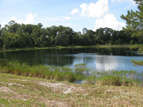  Malauka Loop, Ocklawaha, FL, 32179 | Card Image