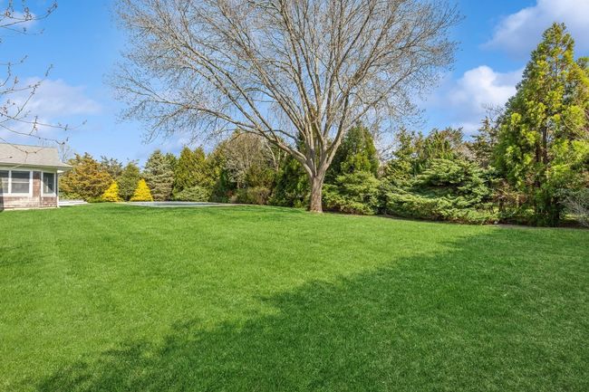 Spacious and Private Yard | Image 24